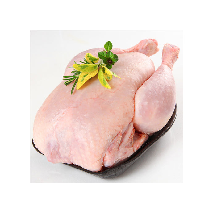 CHICKEN WHOLE 1.1KG (Per Kg)