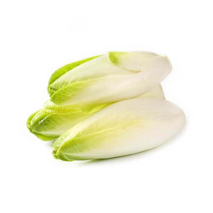 CHICORY WHITE (Per Kg)