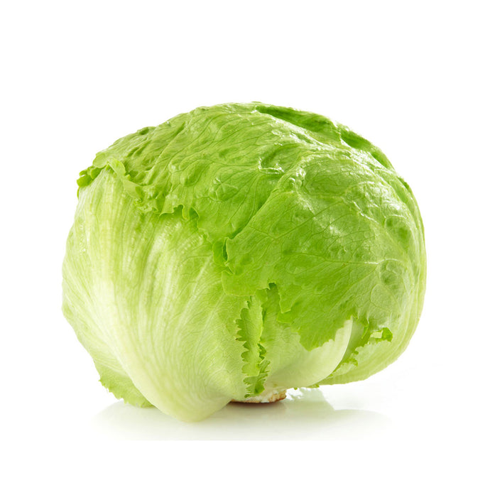CHINESE CABBAGE (Per Kg)