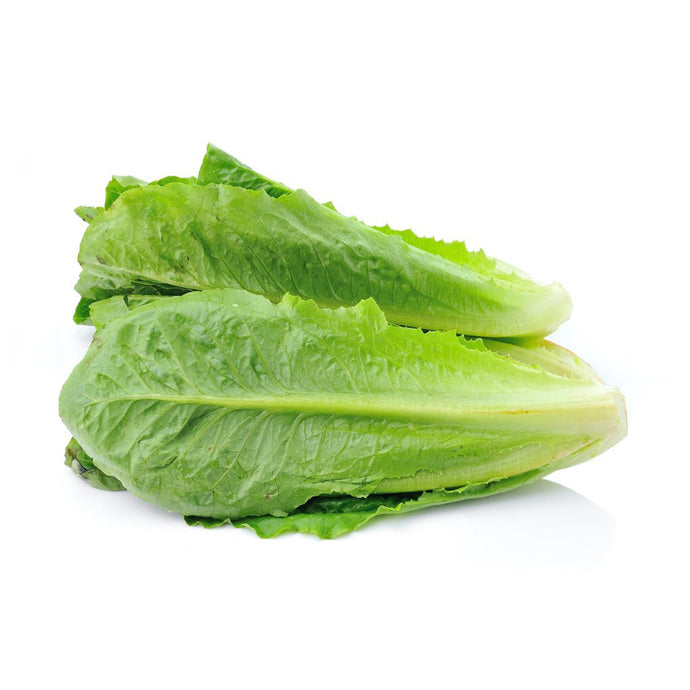 LETTUCE ROMANA (per kg)