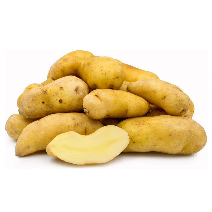 POTATOES RATTE (Per Kg)