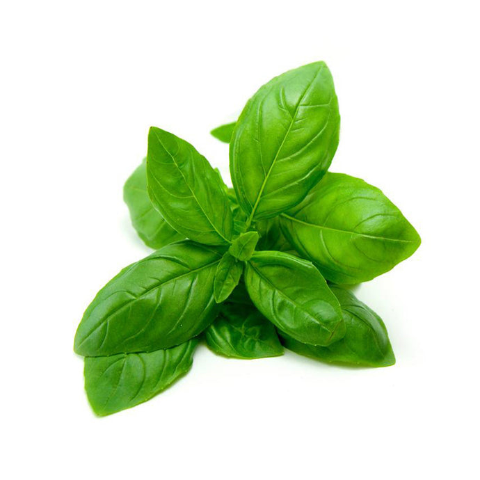 PUNNET BASIL (EACH)