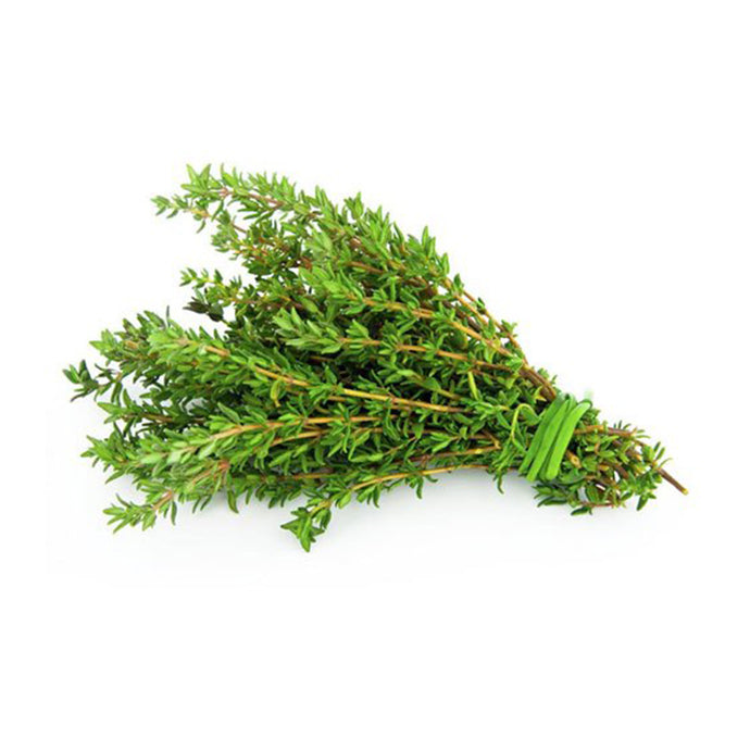 PUNNET THYME (EACH)